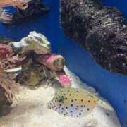 ヒメ日記 2026/03/13 21:14 投稿 さら 沼津人妻花壇