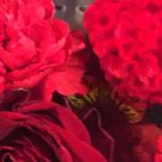 るな 1月4日 20時のお兄さんへ ハピネス＆ドリーム福岡