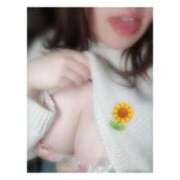 ヒメ日記 2026/01/27 16:48 投稿 はな セレブクエスト-Kawagoe-