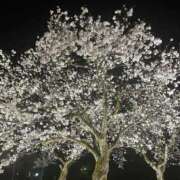 ヒメ日記 2026/04/18 15:42 投稿 にいな 奥様特急三条店