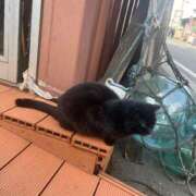 ヒメ日記 2026/03/20 15:03 投稿 涼野 鶯谷人妻城