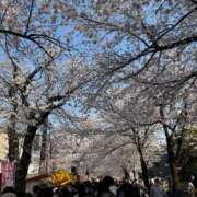 ヒメ日記 2026/03/30 14:48 投稿 ひいろ お客様満足度NO.1デリヘル！ 秘密倶楽部 凛 千葉