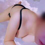 ヒメ日記 2026/02/19 23:30 投稿 川島みどり ミセス大阪十三店