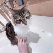ヒメ日記 2026/03/14 00:20 投稿 ハッピー ピンクコレクションBabyキタ兎我野店