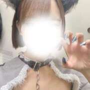 ヒメ日記 2026/01/14 20:39 投稿 ねる MINT（ミント）