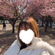 ヒメ日記 2026/03/02 08:07 投稿 らら One More 奥様　五反田店