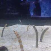 ヒメ日記 2026/01/20 10:20 投稿 柚月　ゆづき（37） 出会い系人妻ネットワーク 熊谷編