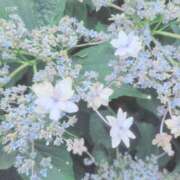 ヒメ日記 2026/06/22 19:16 投稿 もえ エディーズ