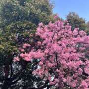 ヒメ日記 2026/03/07 10:49 投稿 宮沢　エルサ OLピンクコレクション