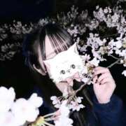 ヒメ日記 2026/04/07 22:36 投稿 姫咲あい【CUTE】 とびきりかわいい専門～You:More～