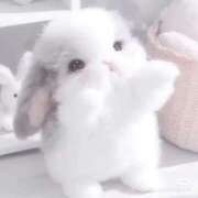 ヒメ日記 2026/03/07 19:26 投稿 姫宮くるみ【PREMIUM】 とびきりかわいい専門～You:More～