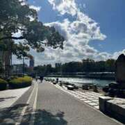 ヒメ日記 2026/01/24 11:57 投稿 ふみ コスパラ(梅田)