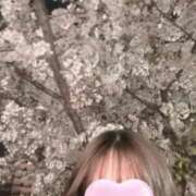 ヒメ日記 2026/04/08 12:06 投稿 白石ゆり【CUTE】 とびきりかわいい専門～You:More～