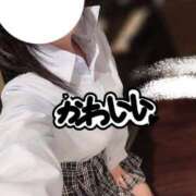 ヒメ日記 2026/01/14 19:02 投稿 ひまり C.C.CATS