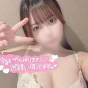 ヒメ日記 2026/05/27 08:10 投稿 日波 める #性欲解放区