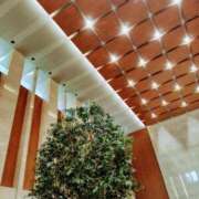 ヒメ日記 2026/06/20 11:22 投稿 みき CLUB DEEP
