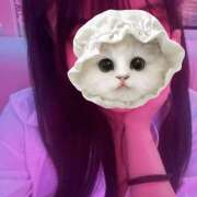 かこ 🏃‍♀️👋 ∞ (はっち)