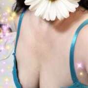 ヒメ日記 2026/02/15 07:20 投稿 しま 性腺熟女100％鶯谷（デリヘル市場）