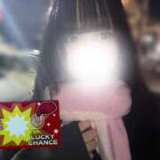 ヒメ日記 2026/01/05 12:03 投稿 かりん プロフィール姫路