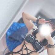 ヒメ日記 2026/09/23 06:05 投稿 せいら プロフィール 京都店