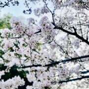 ヒメ日記 2026/03/31 23:10 投稿 千笑里-ちえり 熟女10000円デリヘル 川崎