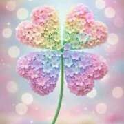 ヒメ日記 2026/01/06 23:19 投稿 桜井　まどか 30・40・50代☆人妻熟女コレクション