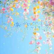 ヒメ日記 2026/01/12 16:44 投稿 桜井　まどか 30・40・50代☆人妻熟女コレクション