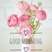 ヒメ日記 2026/01/21 08:32 投稿 桜井　まどか 30・40・50代☆人妻熟女コレクション