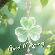 ヒメ日記 2026/02/22 09:30 投稿 桜井　まどか 30・40・50代☆人妻熟女コレクション