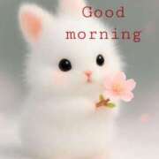 ヒメ日記 2026/02/25 09:00 投稿 桜井　まどか 30・40・50代☆人妻熟女コレクション