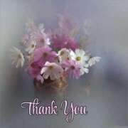 ヒメ日記 2026/04/02 23:30 投稿 桜井　まどか 30・40・50代☆人妻熟女コレクション