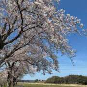 ヒメ日記 2026/04/03 16:47 投稿 桜井　まどか 30・40・50代☆人妻熟女コレクション