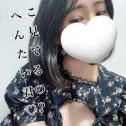 ヒメ日記 2026/04/11 10:11 投稿 新山ひいろ 罪なエステ 品川