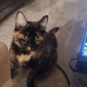 ヒメ日記 2026/01/25 20:51 投稿 めい マーガレット