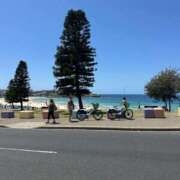 ヒメ日記 2026/02/01 11:51 投稿 めい マーガレット