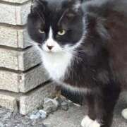 ヒメ日記 2026/02/03 21:21 投稿 めい マーガレット