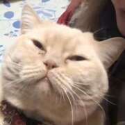 めい 今日は出勤してます！ マーガレット