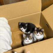 ヒメ日記 2026/01/13 12:16 投稿 じゅり 埼玉熊谷ちゃんこ