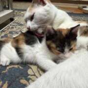 ヒメ日記 2026/01/14 18:36 投稿 じゅり 埼玉熊谷ちゃんこ