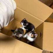 ヒメ日記 2026/01/16 15:06 投稿 じゅり 埼玉熊谷ちゃんこ