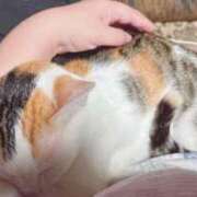 ヒメ日記 2026/01/16 22:56 投稿 じゅり 埼玉熊谷ちゃんこ