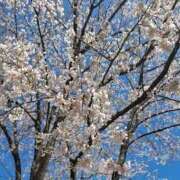 ヒメ日記 2026/04/06 22:34 投稿 みけぽ 熟女の風俗最終章 仙台店