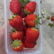 ヒメ日記 2026/03/04 12:12 投稿 あかり エデンR