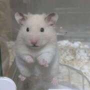 ヒメ日記 2026/03/08 06:13 投稿 あかり エデンR