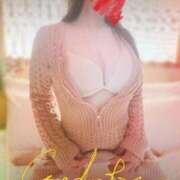 ヒメ日記 2026/03/15 21:27 投稿 黒沢まどか こあくまな熟女たち 善通寺・丸亀店(KOAKUMAグループ)