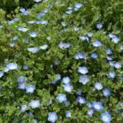 ヒメ日記 2026/01/05 15:16 投稿 まゆこ 熟女総本店 日本橋ミナミエリア店