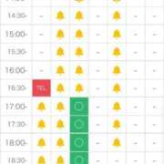 ヒメ日記 2026/03/11 16:48 投稿 さな 白いぽっちゃりさん
