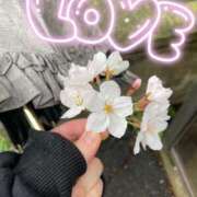 ヒメ日記 2026/03/26 21:59 投稿 りお 錦糸町ぽちゃカワ女子専門店！我慢できないの！