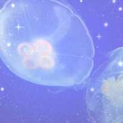 ヒメ日記 2026/02/13 08:27 投稿 クルミ ミセスClub