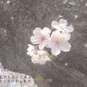 ヒメ日記 2026/03/31 18:46 投稿 クルミ ミセスClub